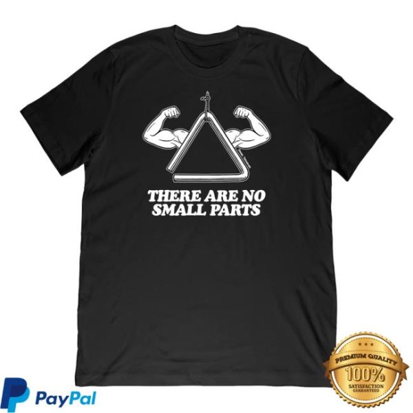 Merchlabs Store Shop Daniel Thrasher No Small Parts Midweight Tee