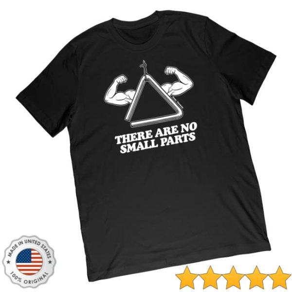 Merchlabs Store Shop Daniel Thrasher No Small Parts Midweight Tee
