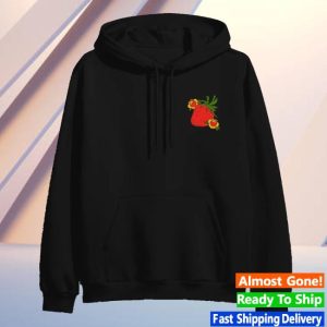 Dance Gavin Dance Merch Store Shop Strawberry’s Wake Hoodie