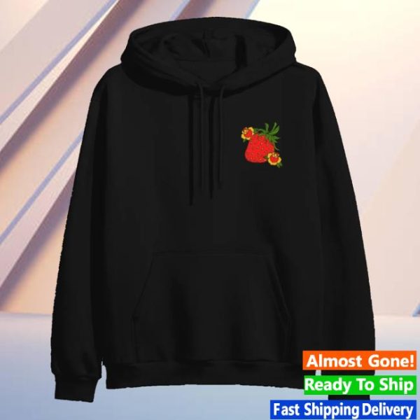 Dance Gavin Dance Merch Store Shop Strawberry’s Wake Hoodie