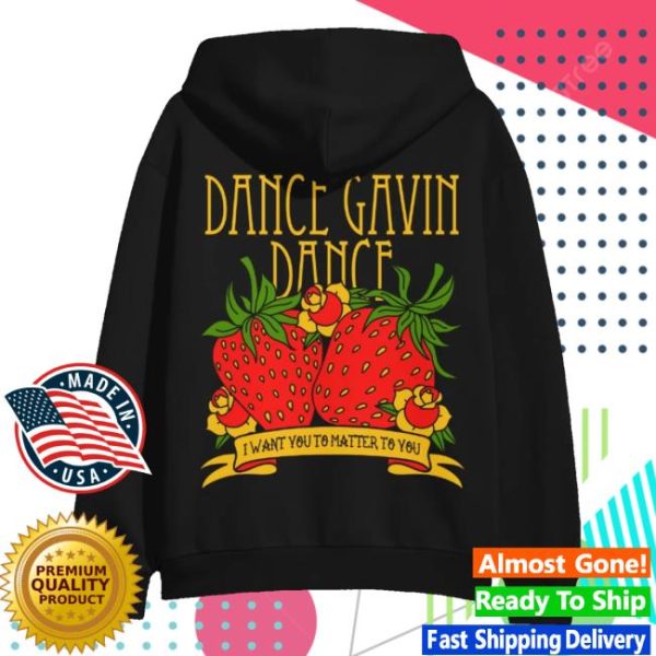 Dance Gavin Dance Merch Store Shop Strawberry’s Wake Hoodie