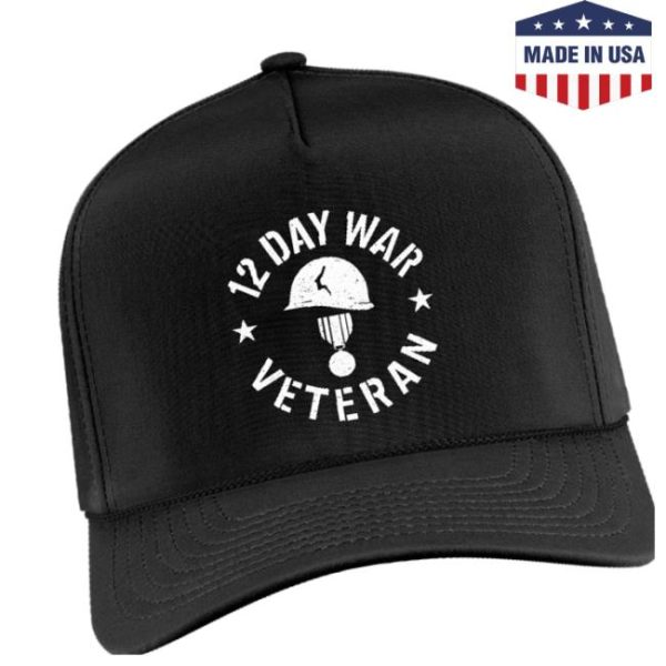 Funnymike Store Merch 12 Day War Veteran Hat