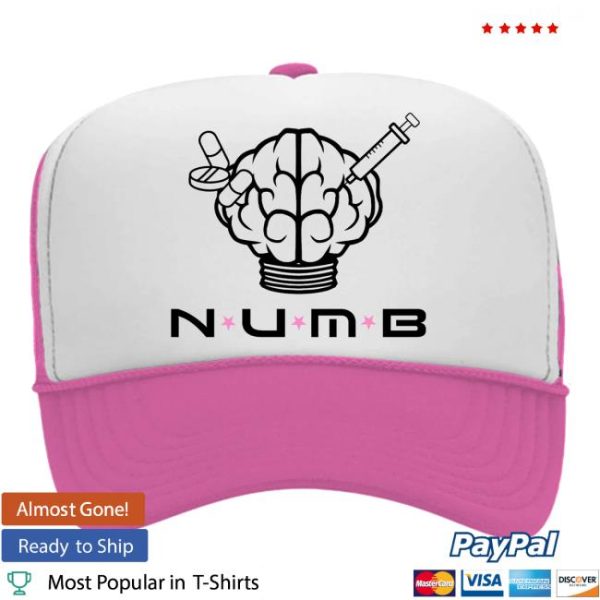 Revenge Official Store Merch Shop Lap Dance Trucker Hat Pink