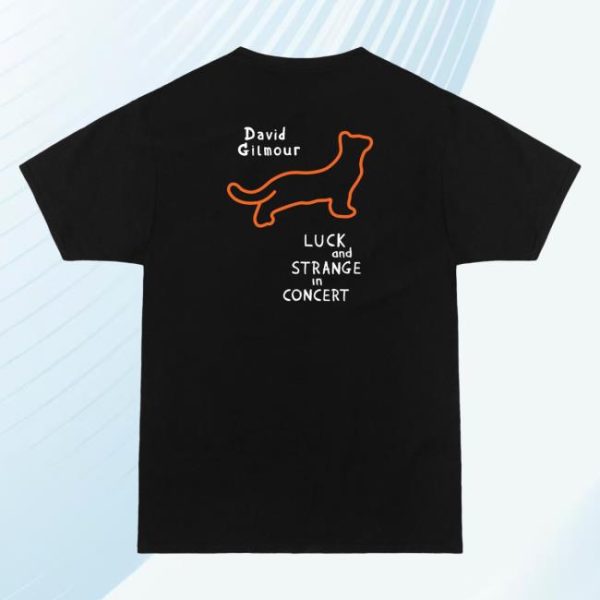 David Gilmour Store Merch David And Romany In Concert T-Shirt