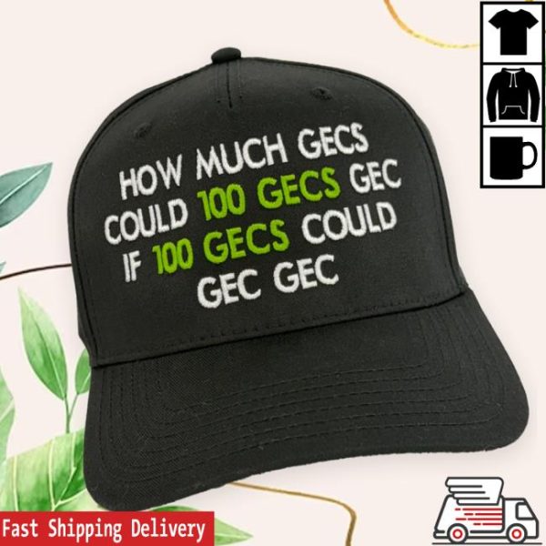 Oldschoolhats Store Merch How Much Gecs Embroidered Hat