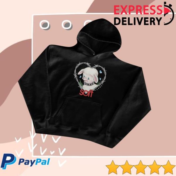 This Is Lany Merch Store Shop Barbed Wire Lamb Hoodie