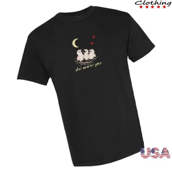 Ambient Inks Merch Store Shop Del Water Gap Birdie Tee