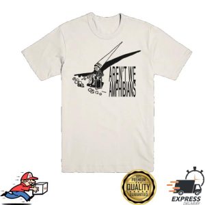 Pnwk Merch Store Shop Dunce Hat Tee
