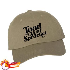 Toad The Wet Sprocket Store Merch Toad The Wet Sprocket Khaki Cap