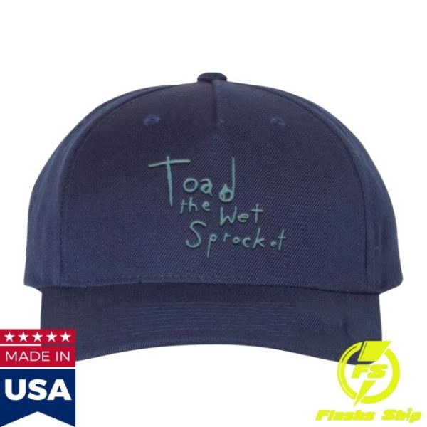 Toad The Wet Sprocket Store Merch Dulcinea Cap