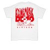 Windy City Smokeout Merch Store Shop Dark Grey Skull Tee