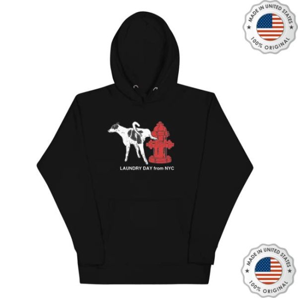 Daundrylay Merch Store Hydrant Hoodie
