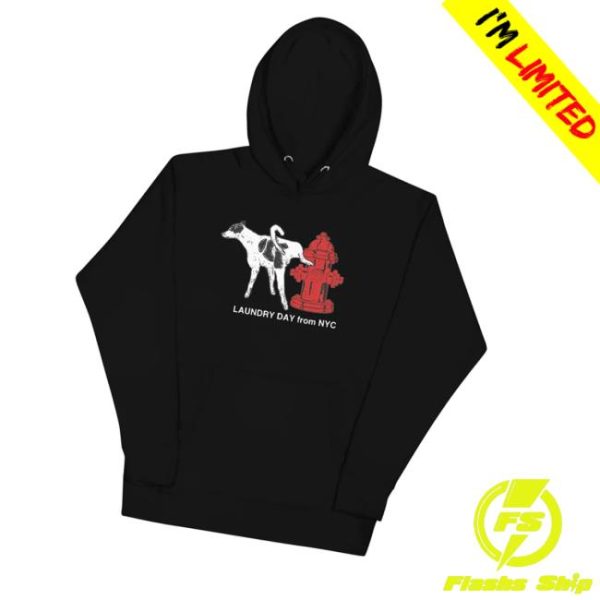 Daundrylay Merch Store Hydrant Hoodie