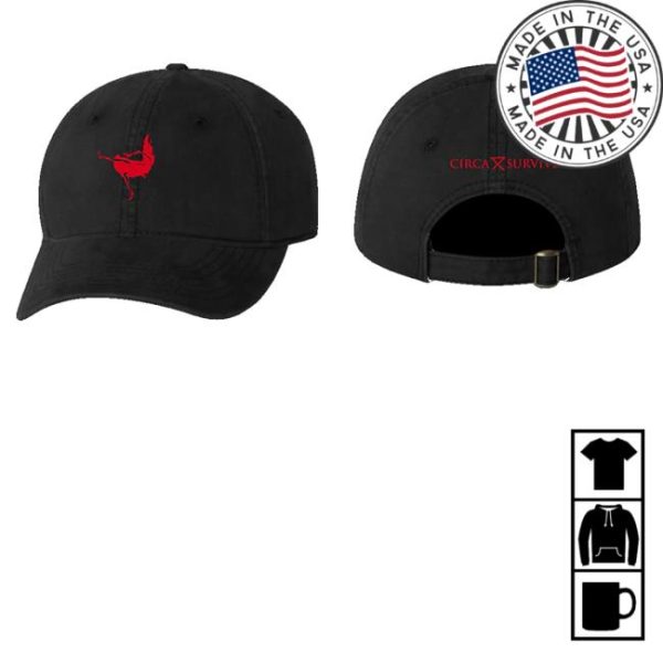 Circa Survive Merch Store Juturna Dad Hat