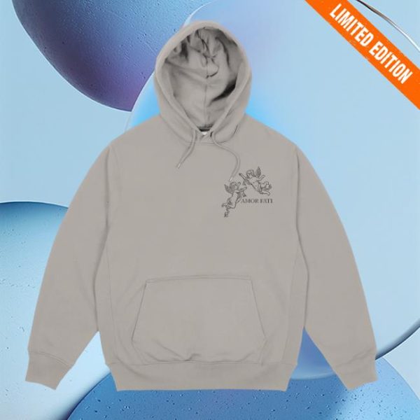Joe Bartolozzi Store Merch Fated Thorns Cement Hoodie
