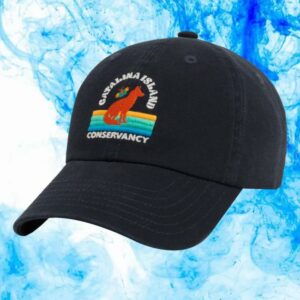 Parks Project Store Merch Catalina Island Fox Hat