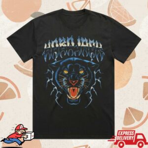 Hobo Jack Merch Store Thundercat Black Heavy Faded Band T-Shirt