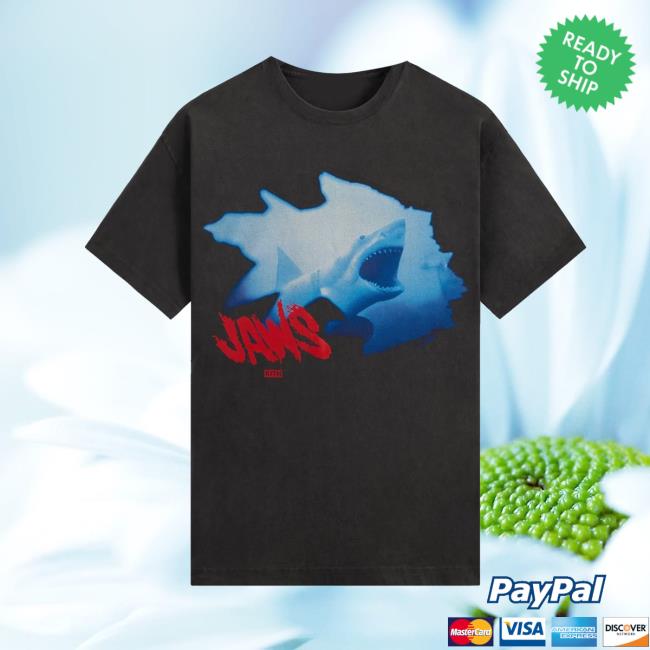 kenny Kith Merch Store Kith For Jaws Shipwreck Vintage Tee