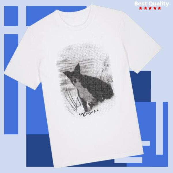 The Beta Band Store Merch Beta Band Gypsy T-Shirt