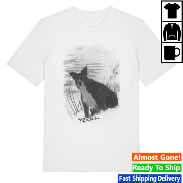The Beta Band Store Merch Beta Band Gypsy T-Shirt