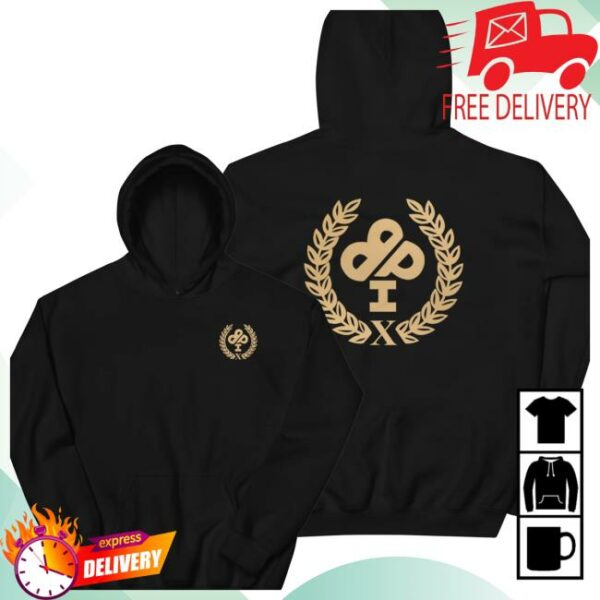 Ireland Boys Merch Store 10 Year Anniversary Premium Hoodie