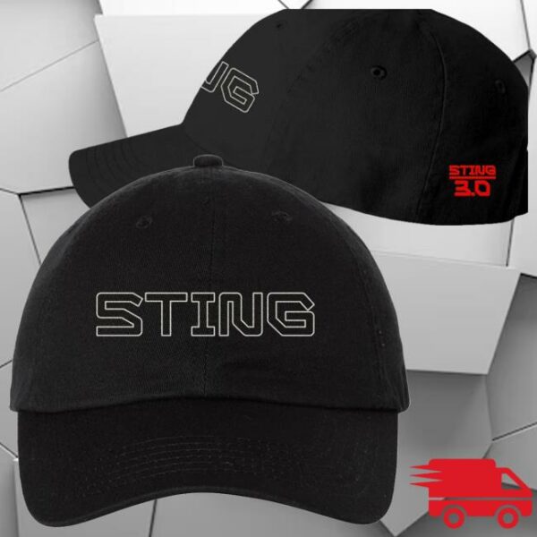 Sting Store Merch Sting 3.0 Logo Hat