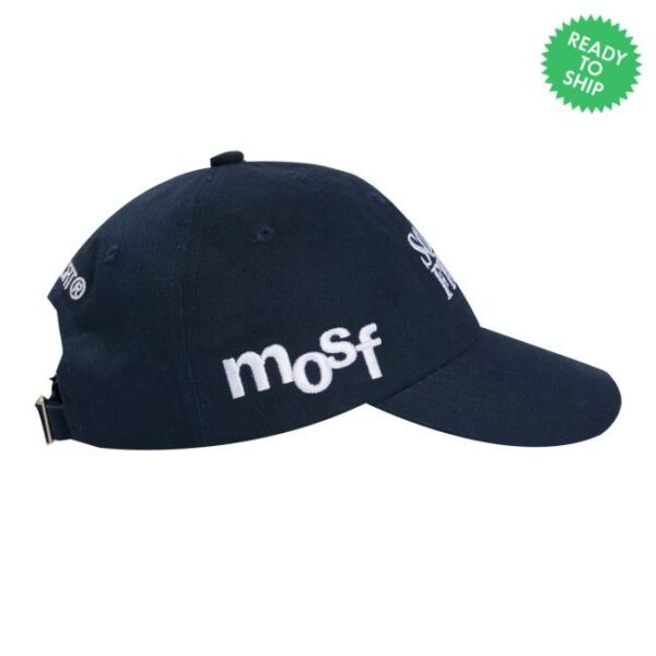Scrt Store Merch Science Fiction Dad Navy Cap