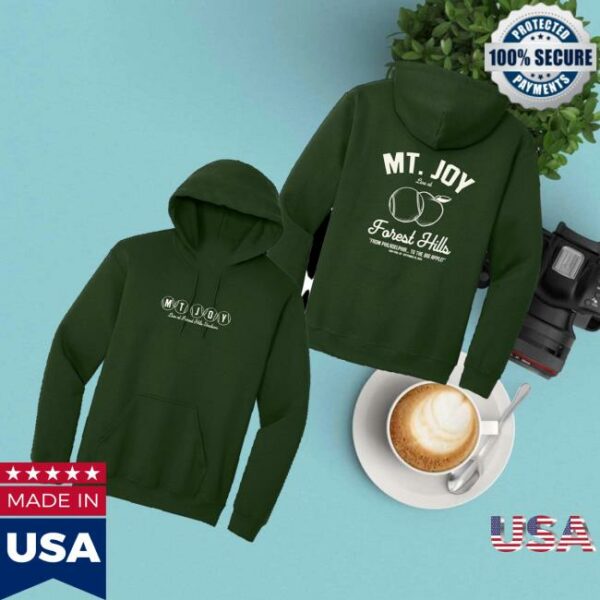 Mt Joy Band Store Merch Forest Hills 2025 Hoodie