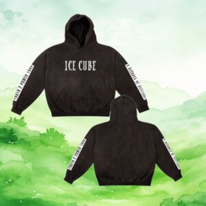 Ice Cube Merch Store Truth 2 Power Tour Hoodie