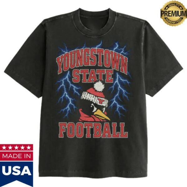 Youngstown Clothing Co Store Merch Ysu Lightning Heavyweight