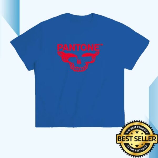 Grateful Dead Merch Store Grateful Red Syf Stealie Blue T-Shirt