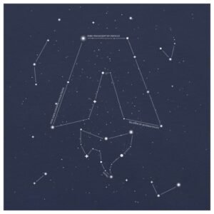 Astro Store Merch Astrological Constellation T-Shirt