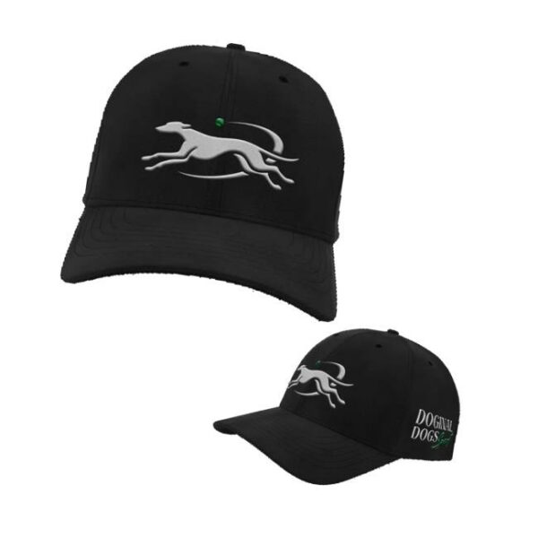 Doginal Dogs Shop Merch Premium Sport Hat