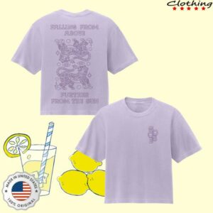 Goose The Band Merch Store From The Sun Ladies Boxy Tee