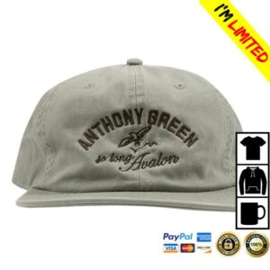 Anthony Green Merch Store So Long Avalon Dad Hat