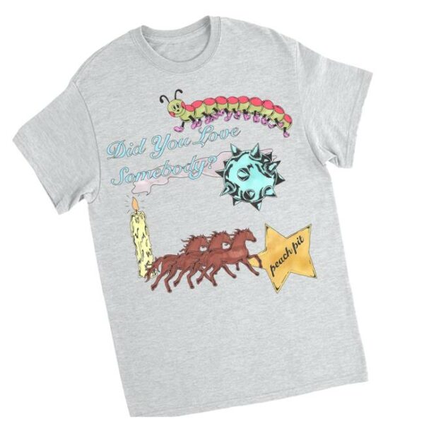 Peach Pit Merch Store Did You Love Somebody Tee