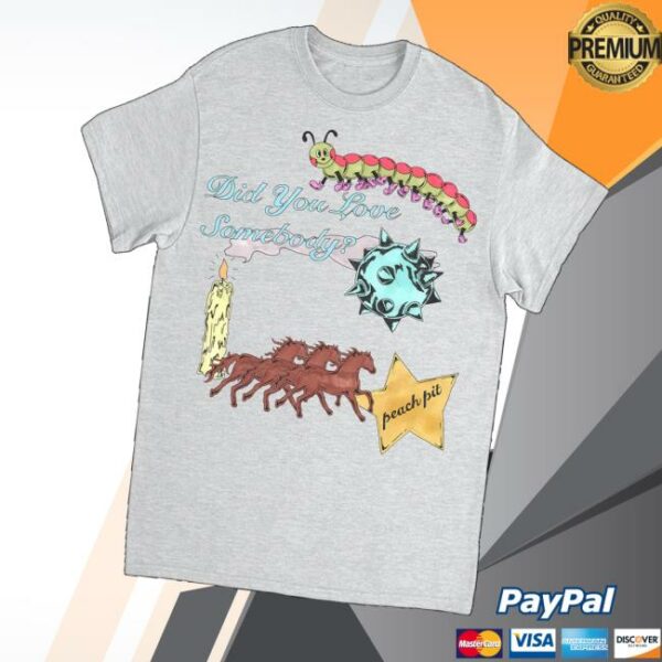 Peach Pit Merch Store Shop Did You Love Somebody Tee
