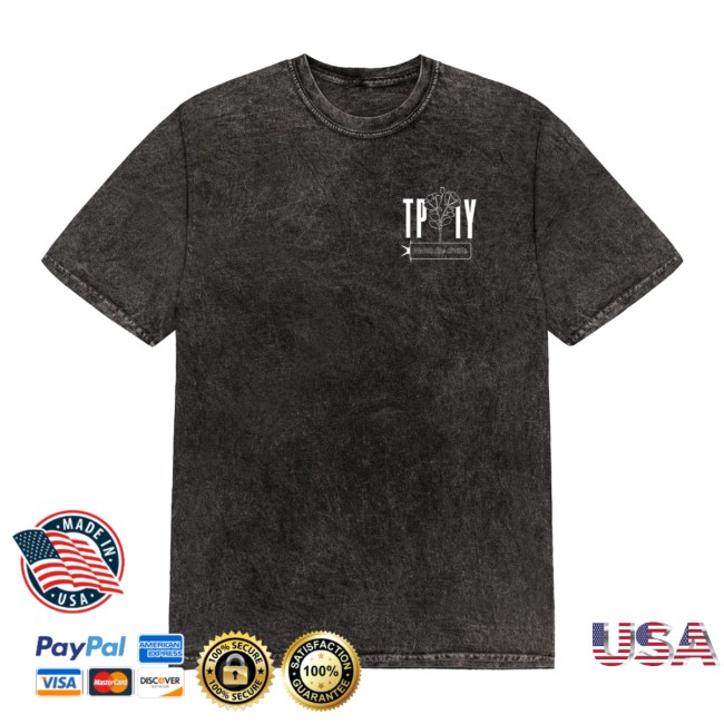 The Plot In You Store Merch Stone Wash Angel Tee The Plot In You Store Merch Stone Wash Angel Tee