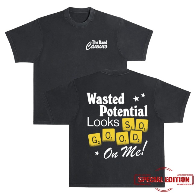 The Band Camino Merch Store Wasted Potential Tee The Band Camino Merch Store Wasted Potential Tee
