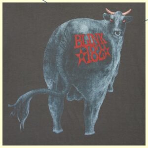 Blink 182 Store Merch Dude Ranch T-Shirt