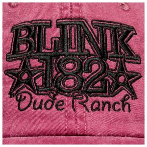 Blink 182 Store Merch Dude Ranch Dad Hat
