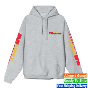 Lizzy Mcalpine Merch Store Older And Wiser Guitar Hoodie Grey