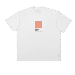 Bon Iver Store Merch Fable Salmon Tee