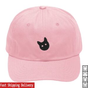 Eaj Park Merch Store Eaj 1 9 Tour Dad Hat