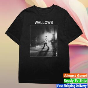 Wallows Store Merch Wallows Dylan Photo Black Tee