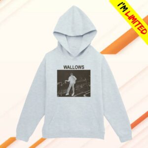 Wallows Store Merch Stage Crowd Photo Pullover Hoodie