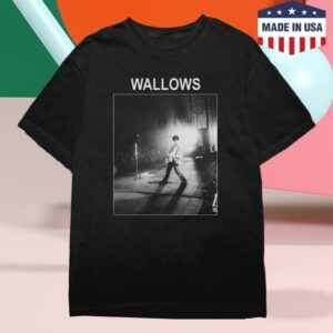 Wallows Merch Store Dylan Photo Tee Black