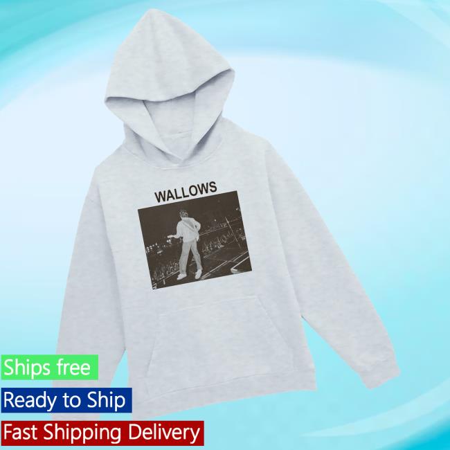 Wallows Merch Store Stage Crowd Photo Pullover Hoodie Wallows Merch Store Stage Crowd Photo Pullover Hoodie