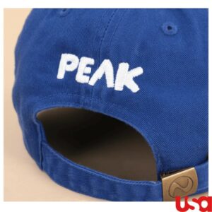 Fangamer Store Merch Peak Bingbong Airlines Hat