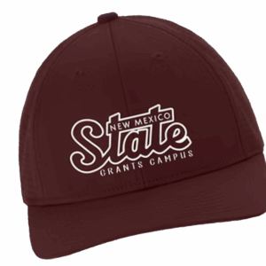 Distinkedink Store Merch Copy Of 2025 Fall Merch Maroon Hat